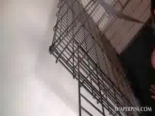Caged me ngjyrë shat fërkon kuçkë në një argëtues pelenë