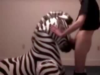 Zebra blir hals körd av förvanska juvenil filma